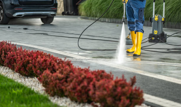 Professional  Pressure Washing Services in Mead, WA